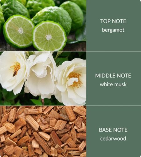 Cedarwood-White-Musk-600x693-1-1.jpg