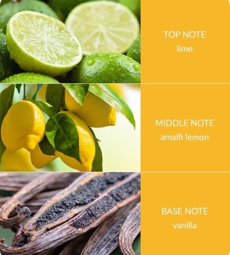 Lemon-Bliss-Notes-Square-Small.jpg