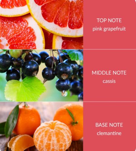 pink-grapefruit-600x693-1-1.jpg